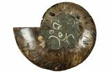 Cut & Polished Ammonite Fossil (Half) - Madagascar #344398-1